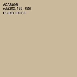 #CAB99B - Rodeo Dust Color Image